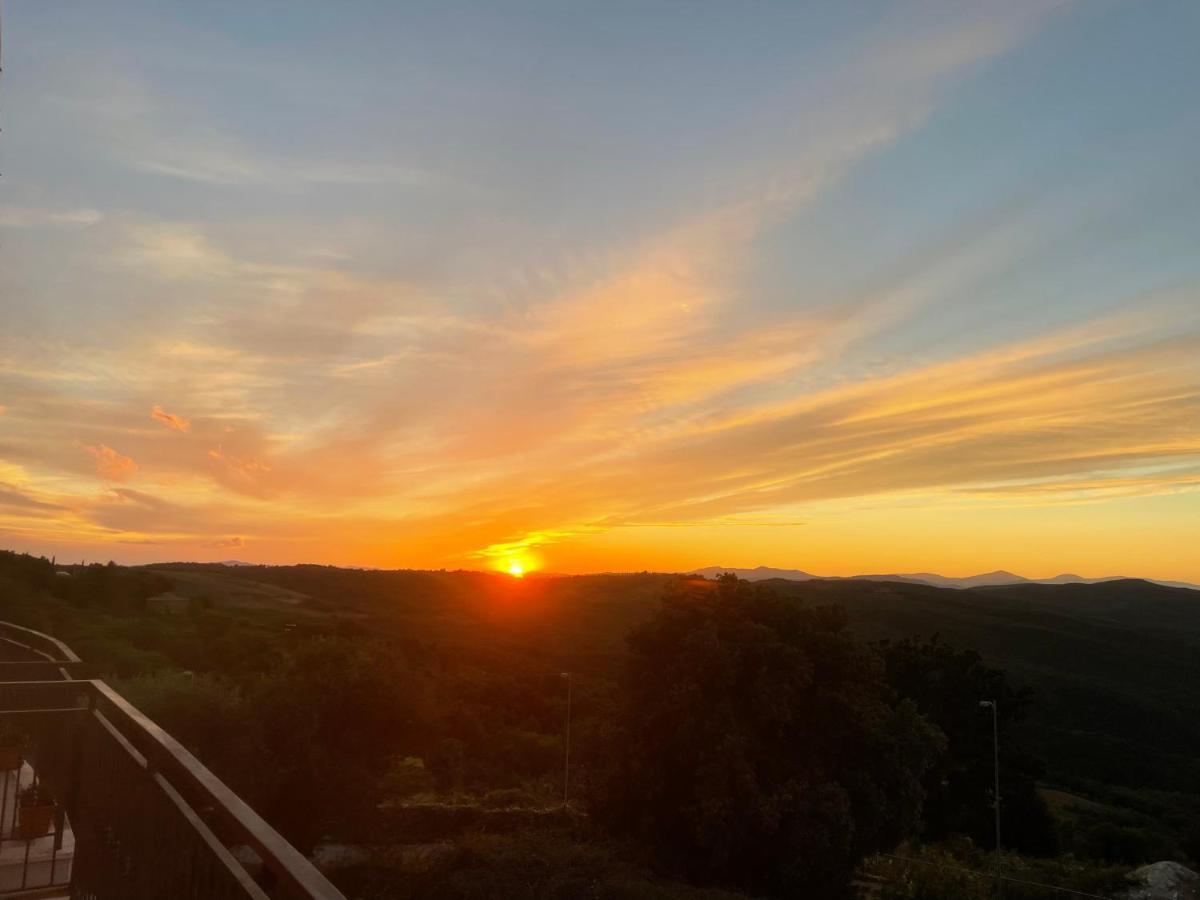 Il Tramonto Apartment Montalcino Exterior foto